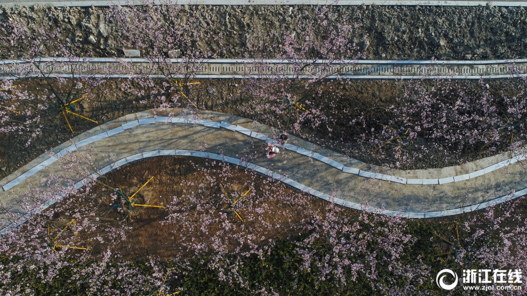2023年1-7月份山東綠電交易成交9.7億千瓦時 綠證交易成交2.9萬張