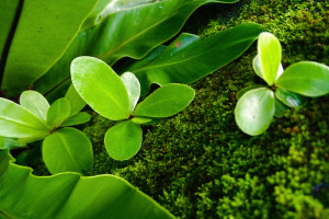 關(guān)于茍晶反映被冒名頂替上學(xué)等問題調(diào)查處理情況的通報