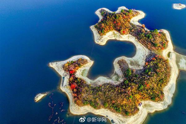 相約大潤發，汰漬與海清邀您新年把愛帶回家