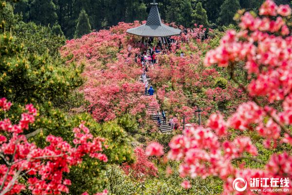 廣東給加氫站松綁尚需諸多突破
