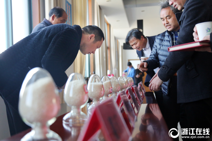 2021年8月江蘇電力市場月內掛牌交易結果：成交均價379.55元/兆瓦時