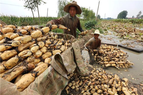 霍炬：中文分析比特幣最早文章之一是我寫的 這是第二篇