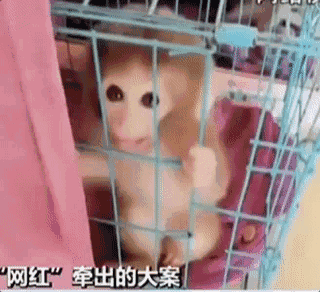 山東印發自然災害救助應急預案 省級自然災害救助應急響應分四級