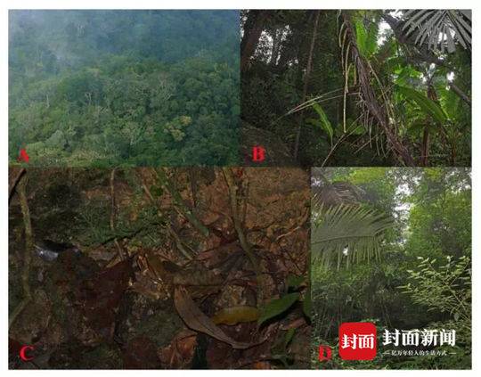 樸有天首次承認大部分吸毒事實