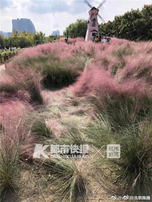 阿根廷和葡萄牙輸了，但梅西和C羅沒有輸