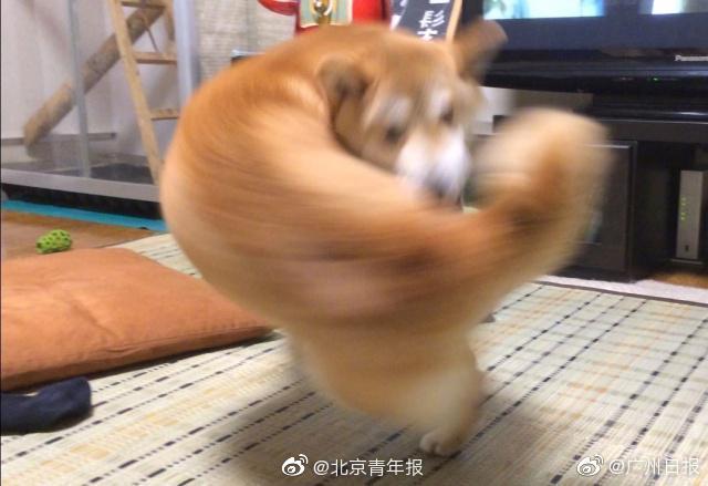 央企混改領域將進一步深化 第三批試點或很快推出 能源行業為重點