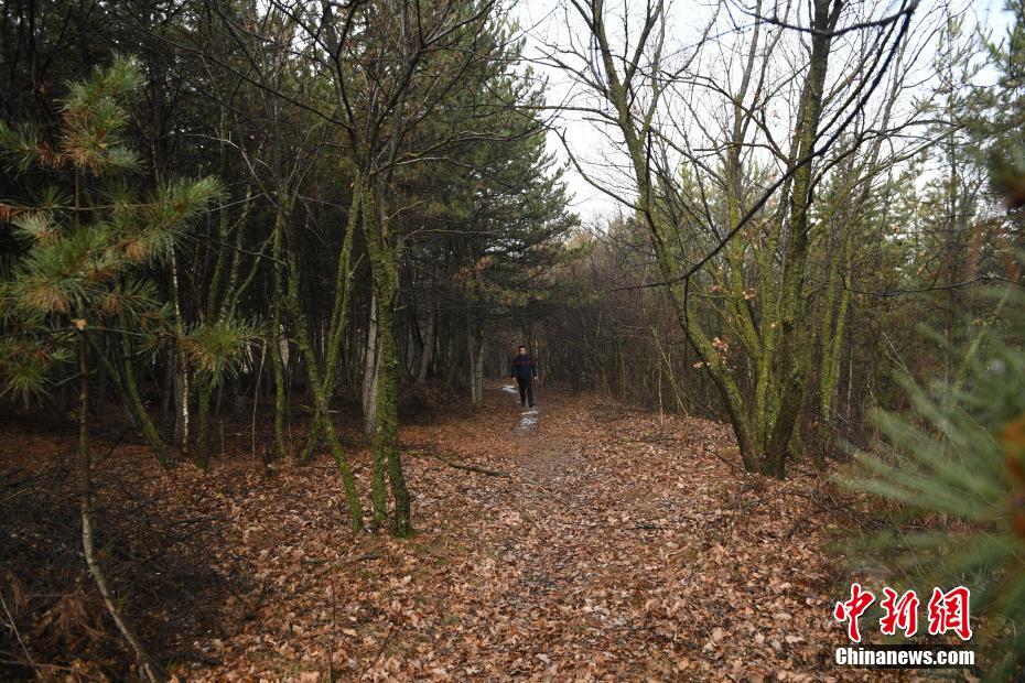 江蘇南京：挖潛增效 龍藏大道一高架橋下新增公共停車場