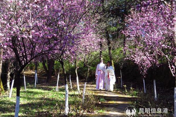 美國回應朝鮮200萬美元賬單：簽了字 但一分沒給