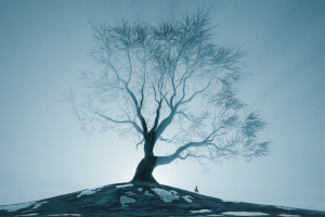 原來健身房小伙伴可以這么嗨！這部減肥爆笑神劇追定了