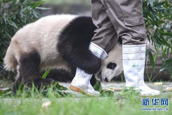 北宋官妓的地位與皇城司介紹