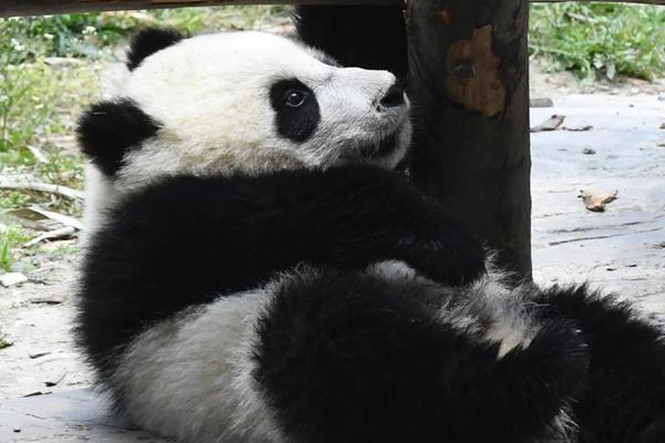 陜西電網(wǎng)第三次降電價：一般工商業(yè)目錄銷售電價降3.4分/千瓦時