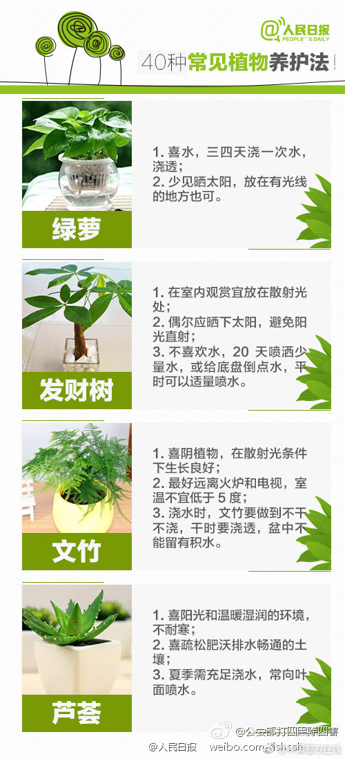 &ldquo;趵突騰空&rdquo;已持續&ldquo;在線&rdquo;314天 趵突泉，每一天都迎新紀錄