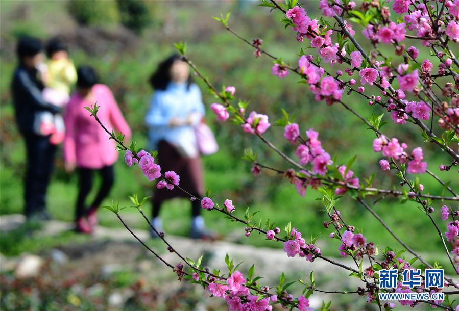 個人單打獨(dú)斗是很難有持續(xù)的優(yōu)質(zhì)的內(nèi)容保證
