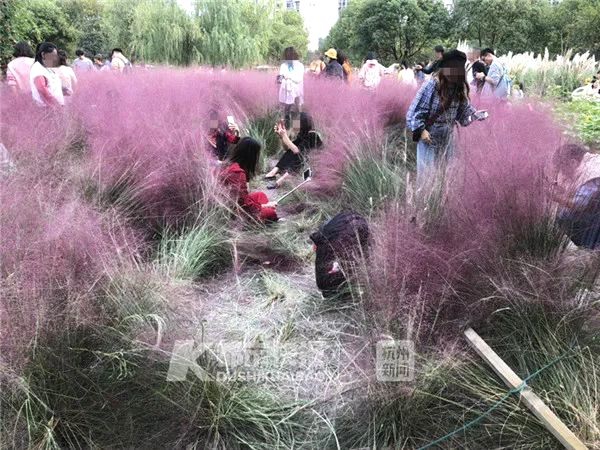 央視：打造氫能產業集群 助力綠色發展