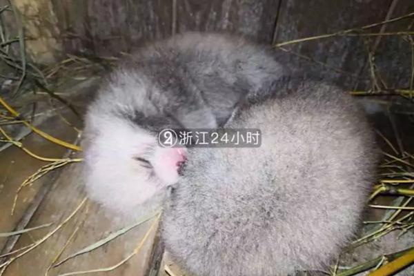殺滴滴司機學(xué)生被診患抑郁癥 有限定刑事責(zé)任能力