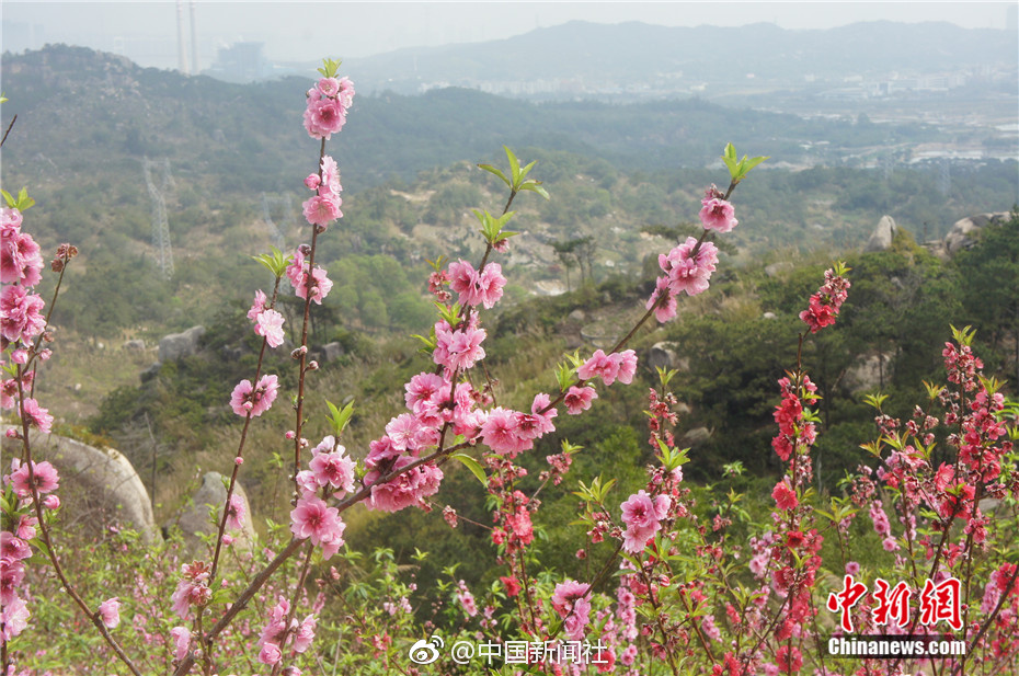 華為董事會首席秘書接受國際媒體采訪：任正非只是重大事項有否決權