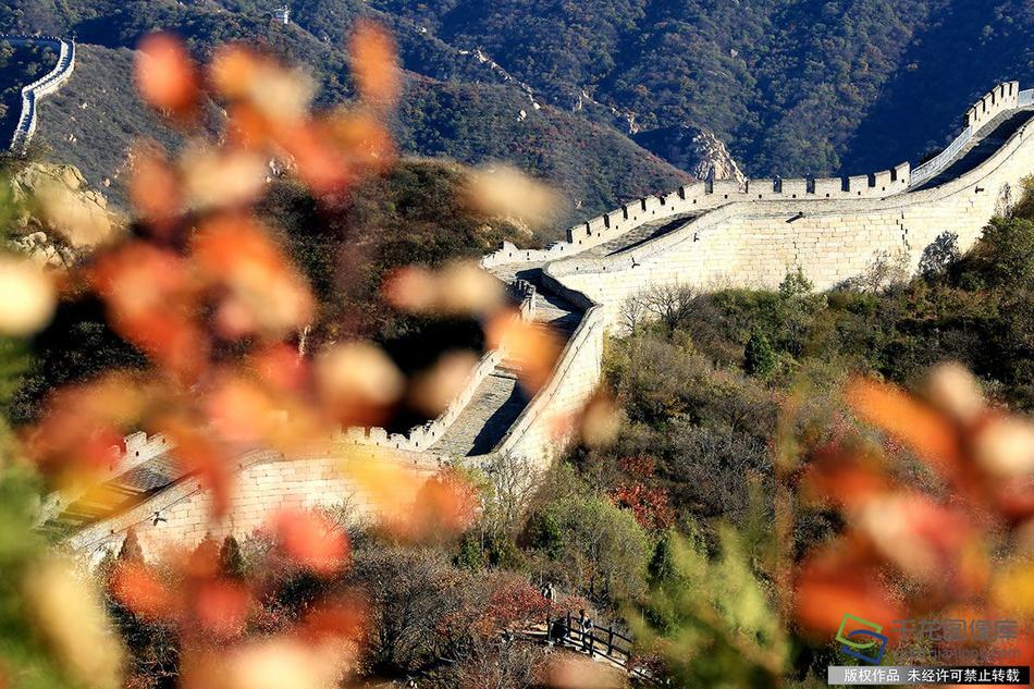 中電聯：2022年1-5月全國電力市場交易簡況