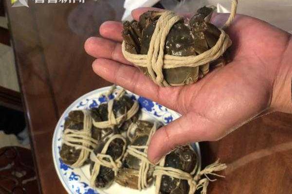打造“總樞紐、主通道、重基地”新型電力系統甘肅示范