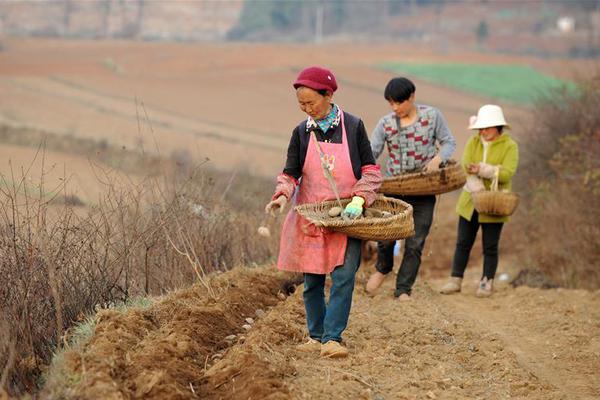 深圳一學校考生拔尖被疑系衡水中學高考移民 官方:資格合規