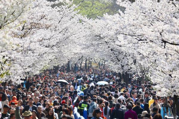 國網西南分部2023年第一次物資公開招標采購項目中標候選人