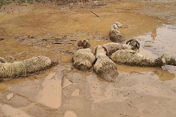迎峰度冬期間預計河北南網和蒙西電網將不同程度出現電力缺口