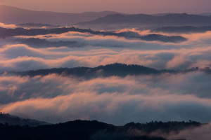 這就是山東|錯峰就餐、應急演練，山東各地各顯身手備戰&ldquo;開學季&rdquo;