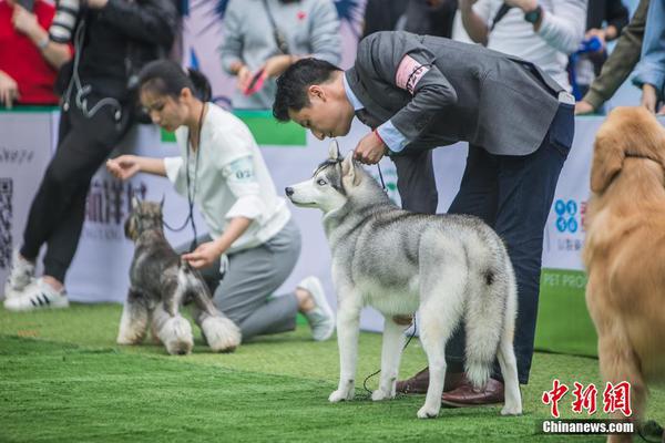 瀘西—彌勒—開遠支線天然氣管網全線開通