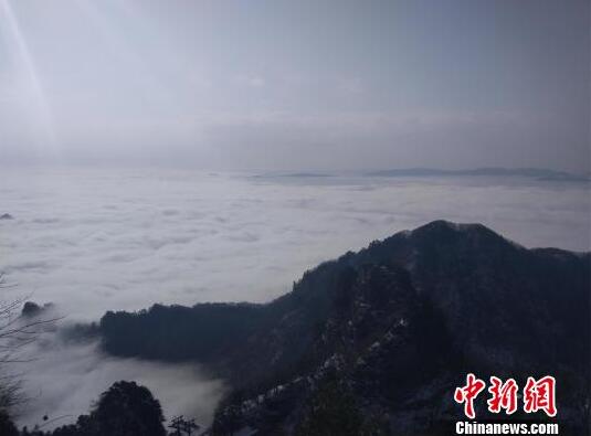 260元12個菜8個碗，山東大席有多硬核