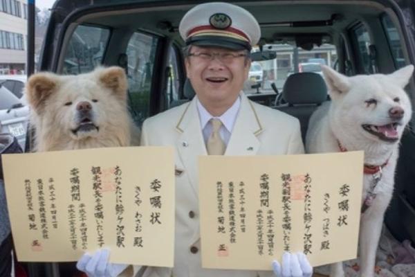 粉黛亂子草花海扮靚泉城秋