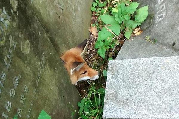 我國建成世界首個可遙控生產超大型深水平臺