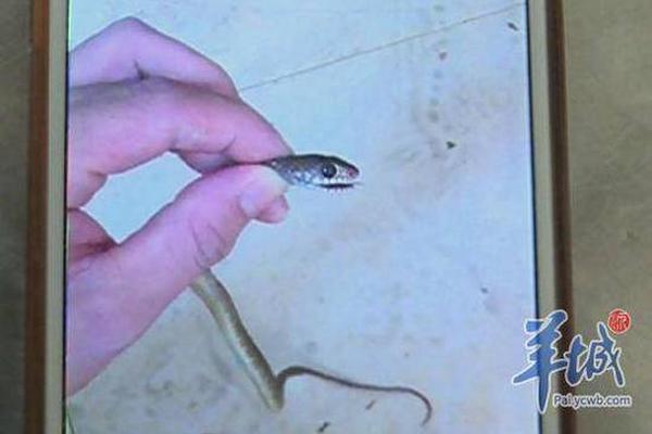 天津電力具備高速載波智能表全檢能力