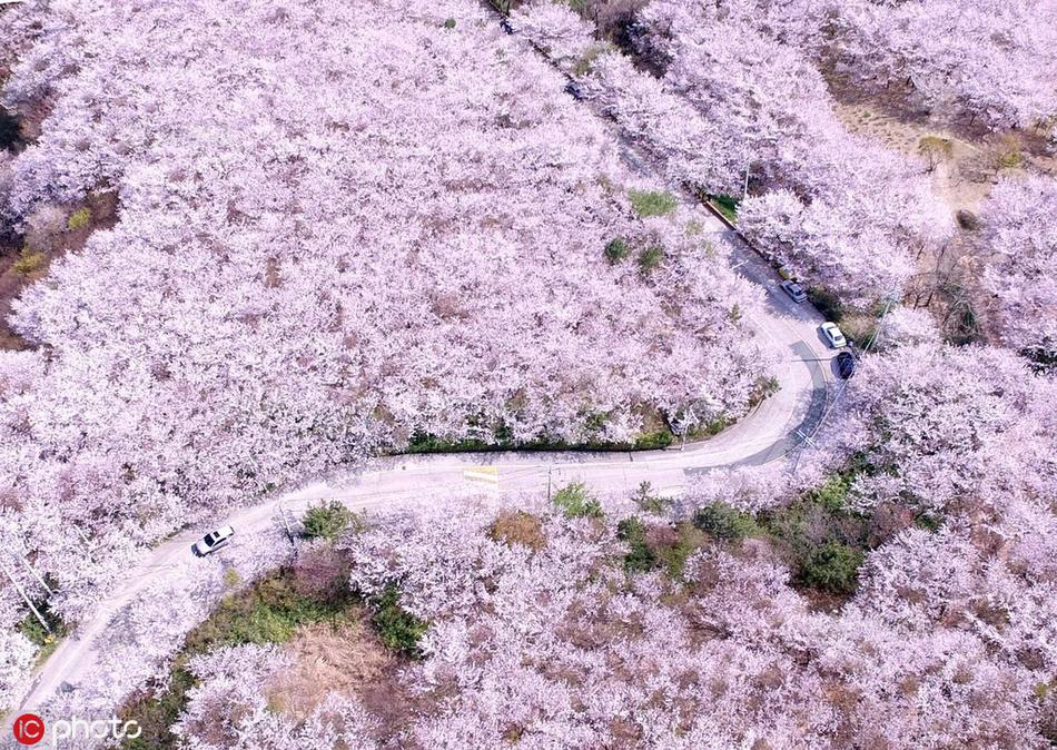 中國大使投書英媒談華為：背后折射出三道“選擇題”