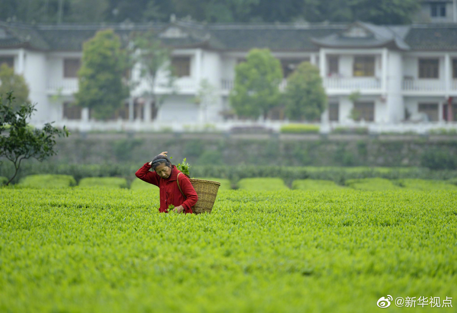 采光標(biāo)準(zhǔn)微降 能否破除加裝電梯瓶頸 專(zhuān)家詳解《住宅項(xiàng)目規(guī)范》