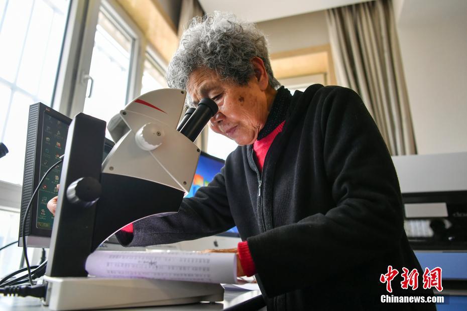 國網綜合能源服務集團有限公司2023年度集中采購批次安排