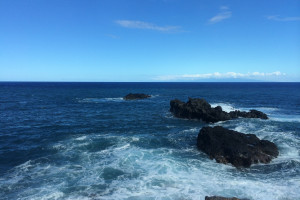 青島3歲神童走紅，“神童教育”的背后，是家長們的專權(quán)！