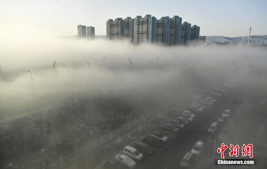 青島3歲神童走紅，“神童教育”的背后，是家長們的專權(quán)！