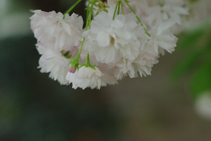 【深入基層一線 直擊全民戰疫】放下&ldquo;小我&rdquo; 匯聚成守衛&ldquo;大城