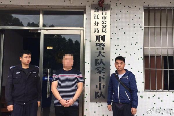 青藏高原地區典型高海拔超高壓輸電線路電磁環境野外長期監測系統建成