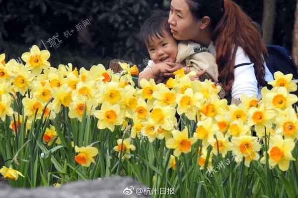 特銳德：電網、鐵路雙豐收 二次創業成功推進