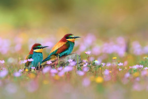 100天52本好書全面打造你的核心競爭力