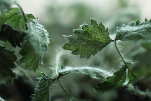 企業應該如何布局和掘金物聯網