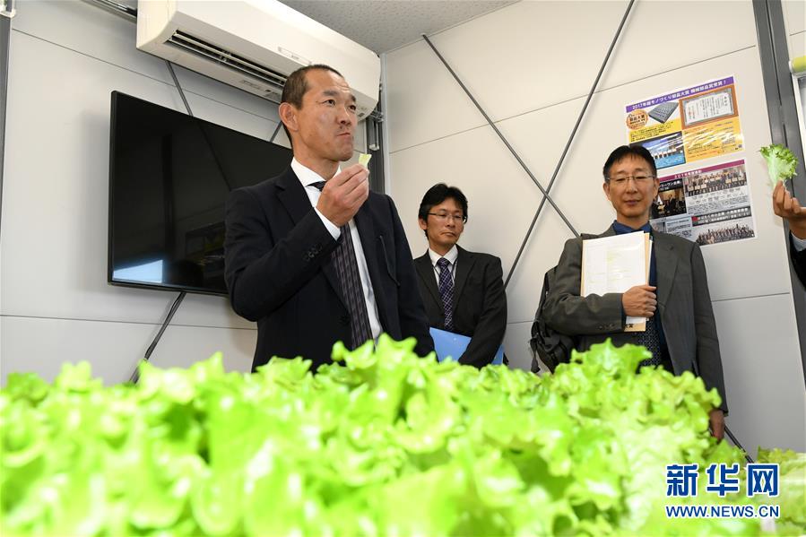 在中國郵政集團公司的工作體驗