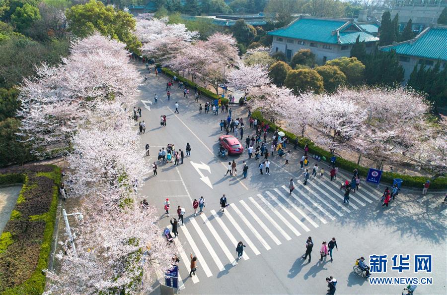 近300股跌停！滬指跌0.77%，創業板指暴跌2.55%