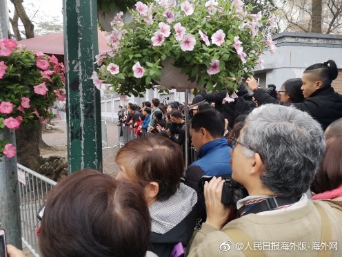 中山首個氫能供應基地在三角鎮啟動建設