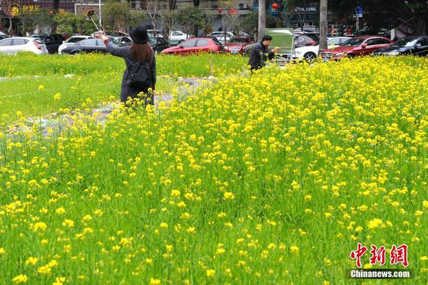 央行：被選用進(jìn)行相關(guān)新技術(shù)的研究