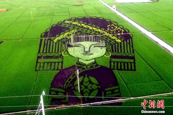 地板和家具搭配 打造家居空間