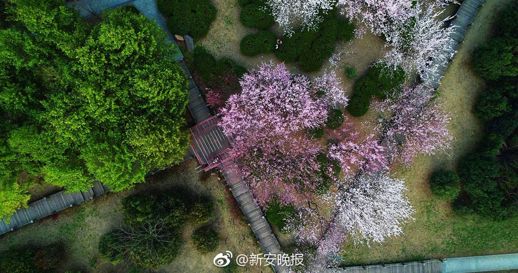 電網、發電及產業園區成立售電企業 拿什么來比拼拼！