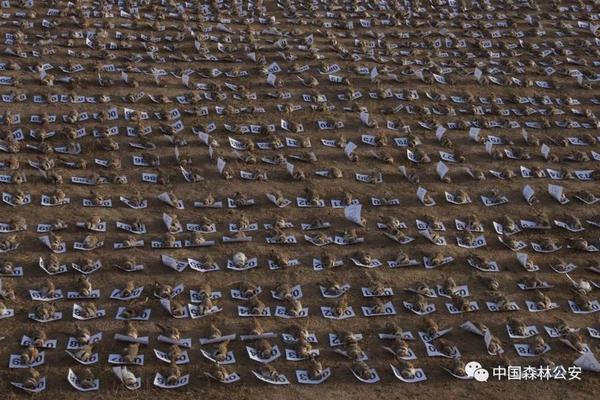 首條無線充電公路邊走邊充好嗨呦