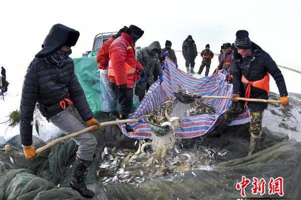 深入學習宣傳貫徹黨的十九屆六中全會精神|專訪楊慶緒 孟學峰